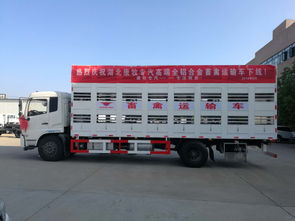 東風(fēng)天錦畜禽運輸車價格解析與選購指南